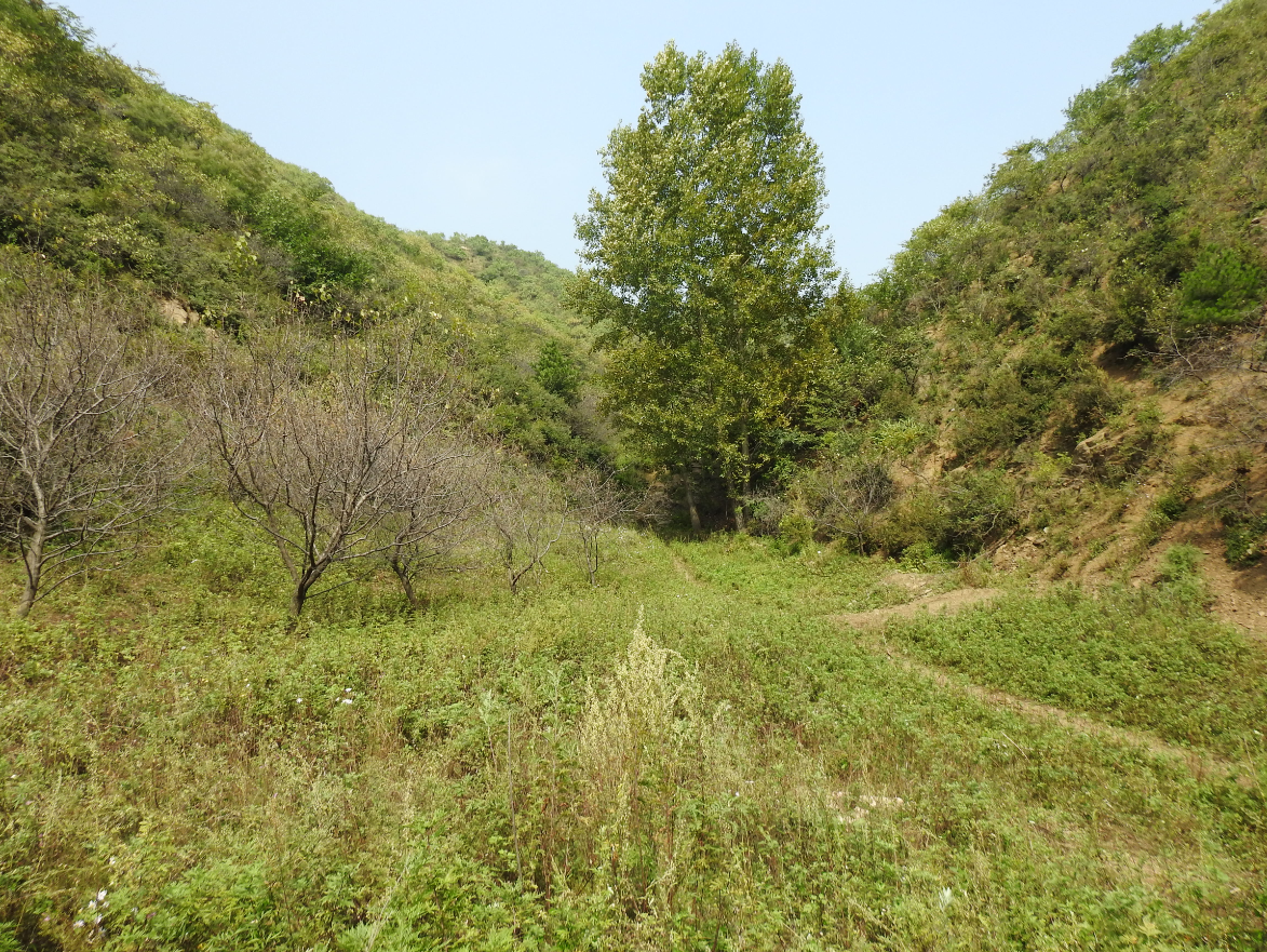 承德县高寺台镇车营村20亩土地流转