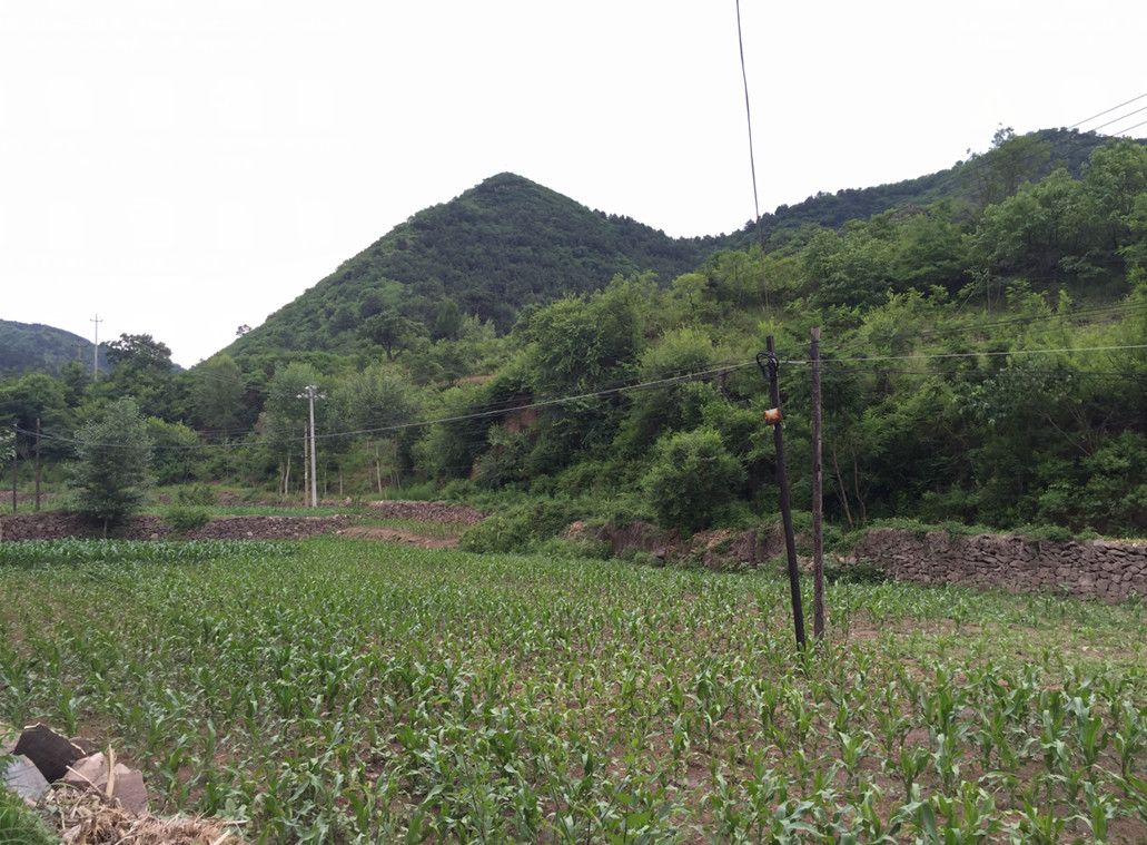 承德市双桥区牛圈子沟镇马架子村土地流转项目