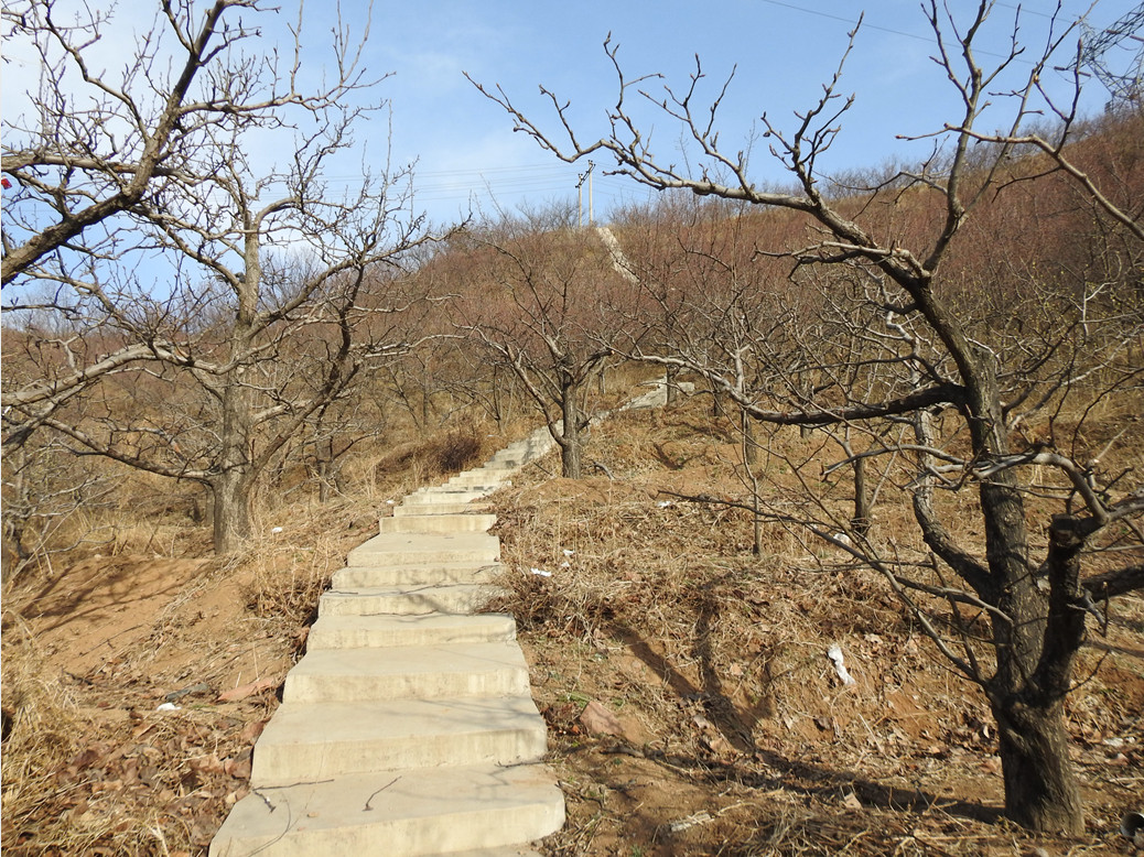 承德市双桥区水泉沟镇水泉沟村30亩荒山对外出租